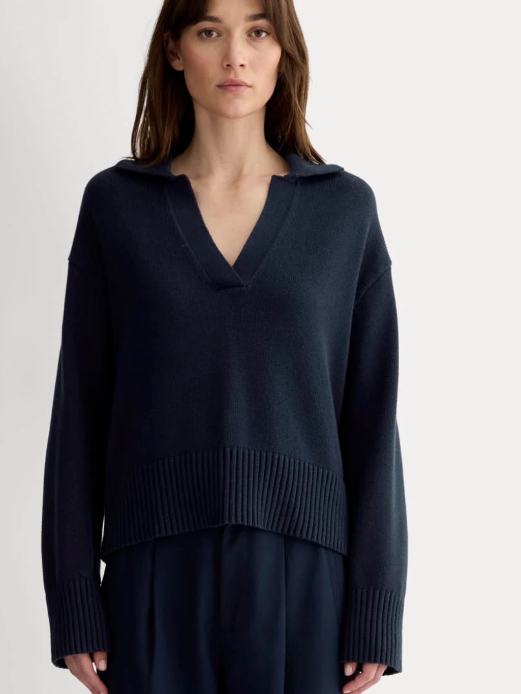 Everlane Navy V-Neck Collared Sweater